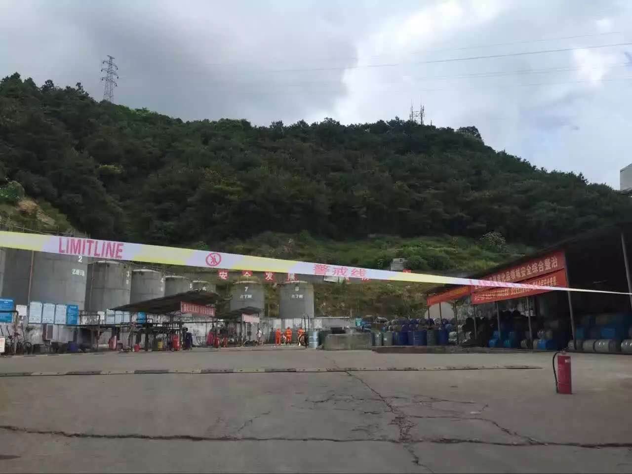 染料——植物染